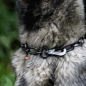 Halskette mit Karabiner Edelstahl schwarz 4 mm 56 cm