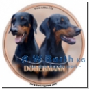 Dobermann Motiv 3