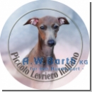 Itaienisches Windspiel