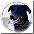 Beauceron