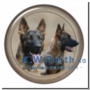 Deutscher Schäferhund 1